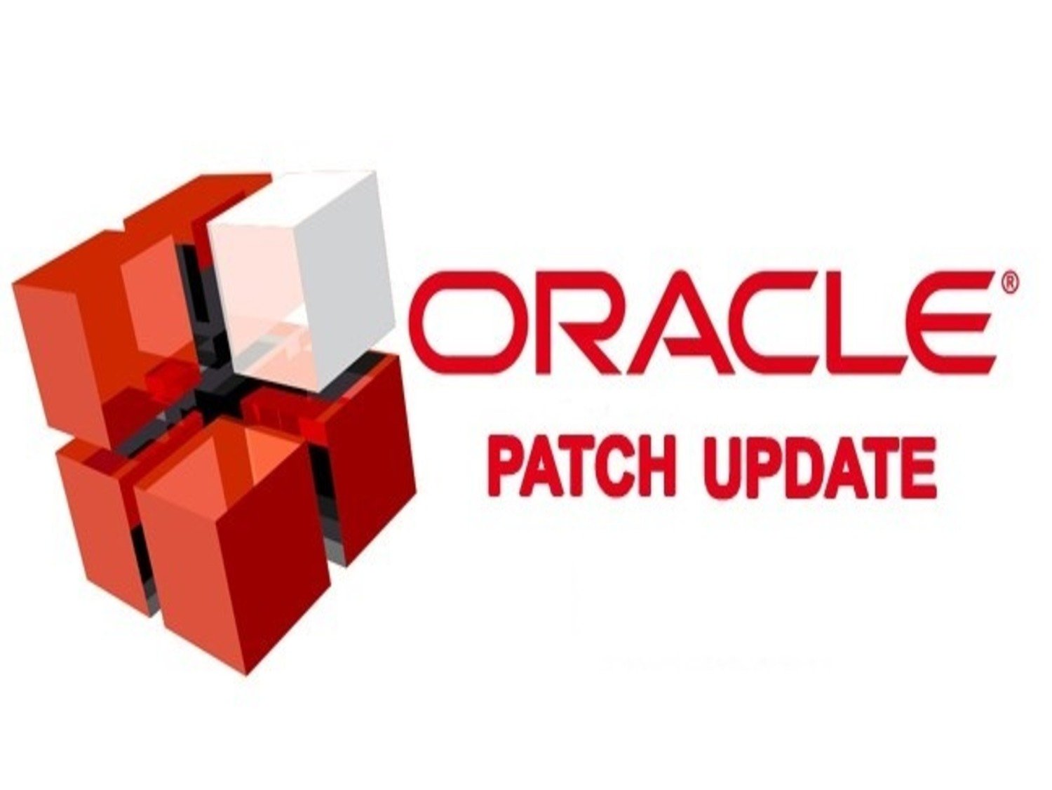 Oracle Patches 185 Vulnerabilities With October 2023 CPU Caticx